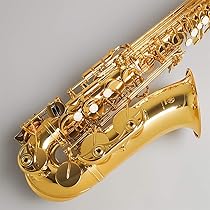 【極美品使用】YAMAHA ヤマハ YAS-62LSEII アルトサックス 713VC+yQRaL._AC_UL210_SR210,